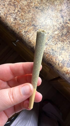 Reviewer's hand holding a large, well-packed pre-roll from The Flower Trifecta.
