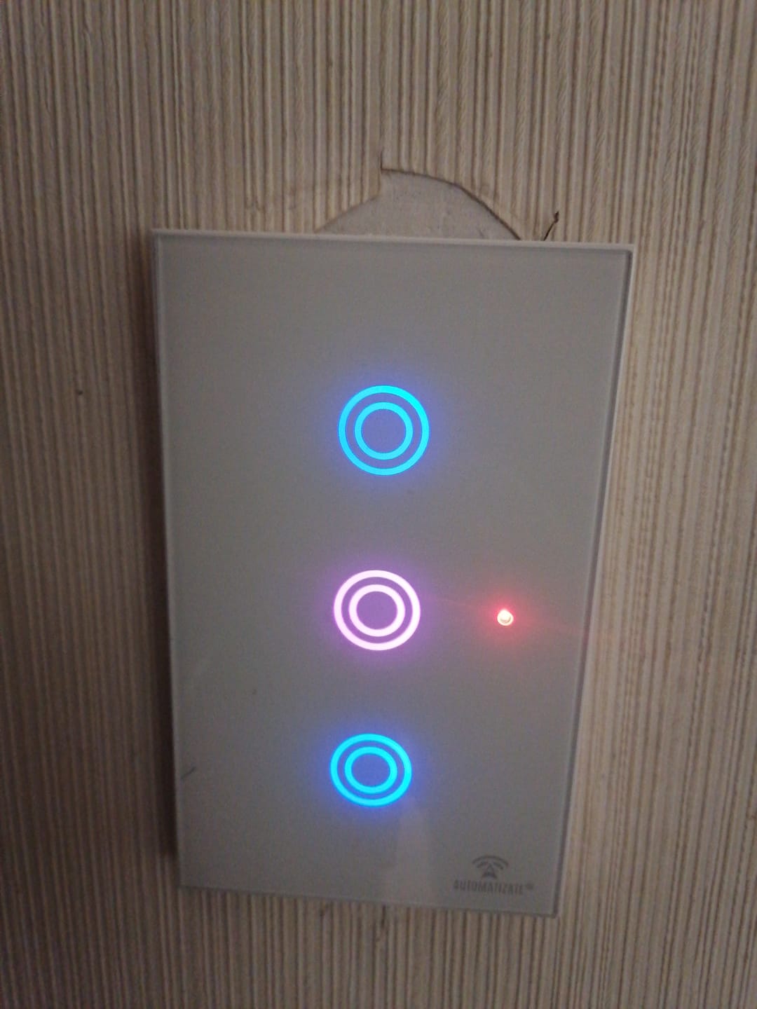 Customer photo review of Interruptor inteligente Wifi Automatizate