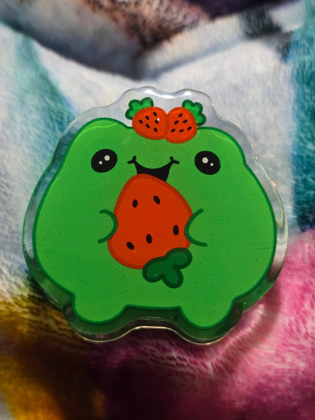 Customer photo review of Acrylic Page Clip with Glitter Overlay, Freddy the Frog by Wook Books