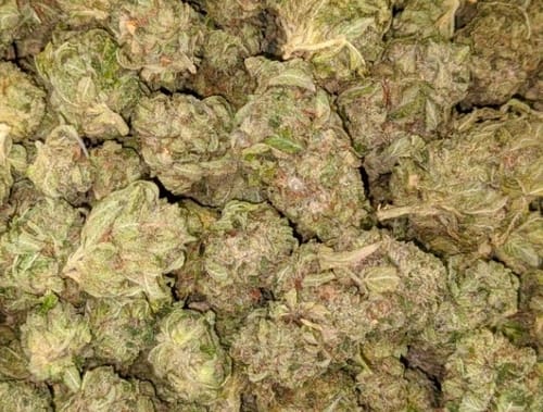 Customer photo review of THCA Queen