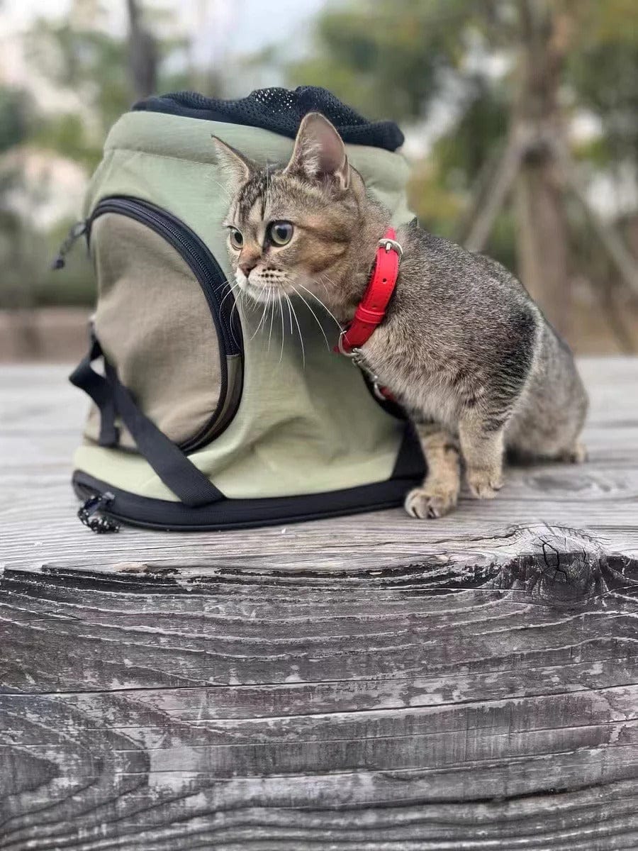 Customer photo review of Comfortable Labor-saving Front Pet Carrier