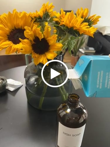 Customer video review of Plan Consciente