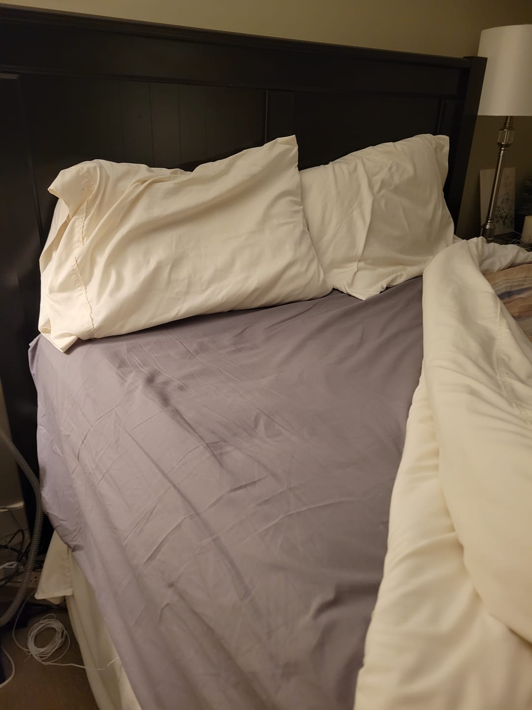 Customer photo review of Grounding Sheets Canada by Tala