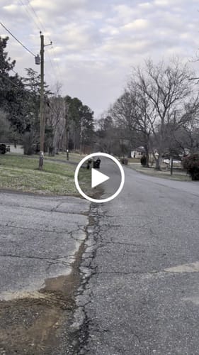 Customer video review of Strongman Sandbag V3
