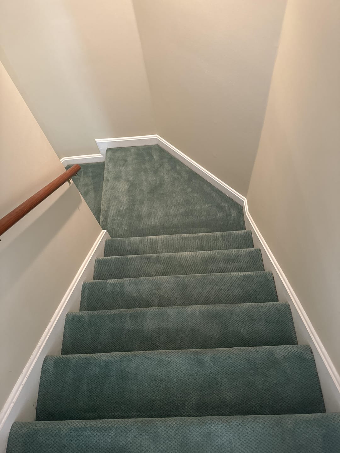 Customer photo review of Thrasher Carpet Soap