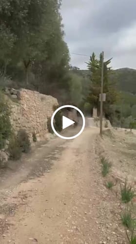 Customer video review of Camo Nasal Strips