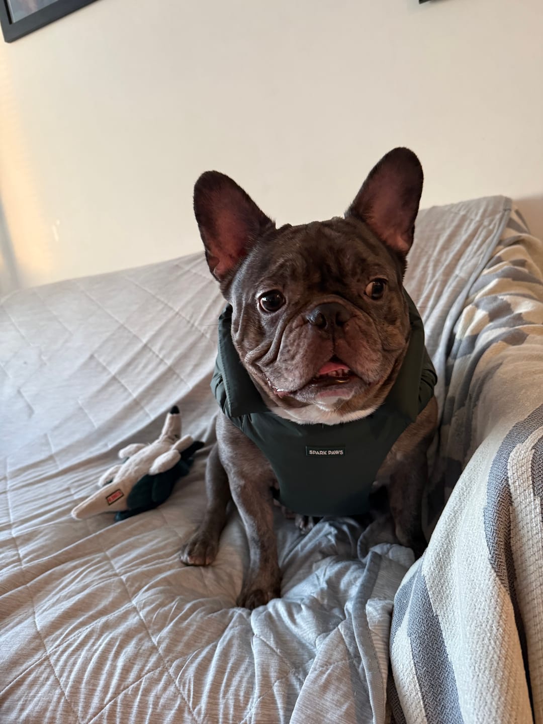 Customer photo review of PuffShield Winter Jacket - Green