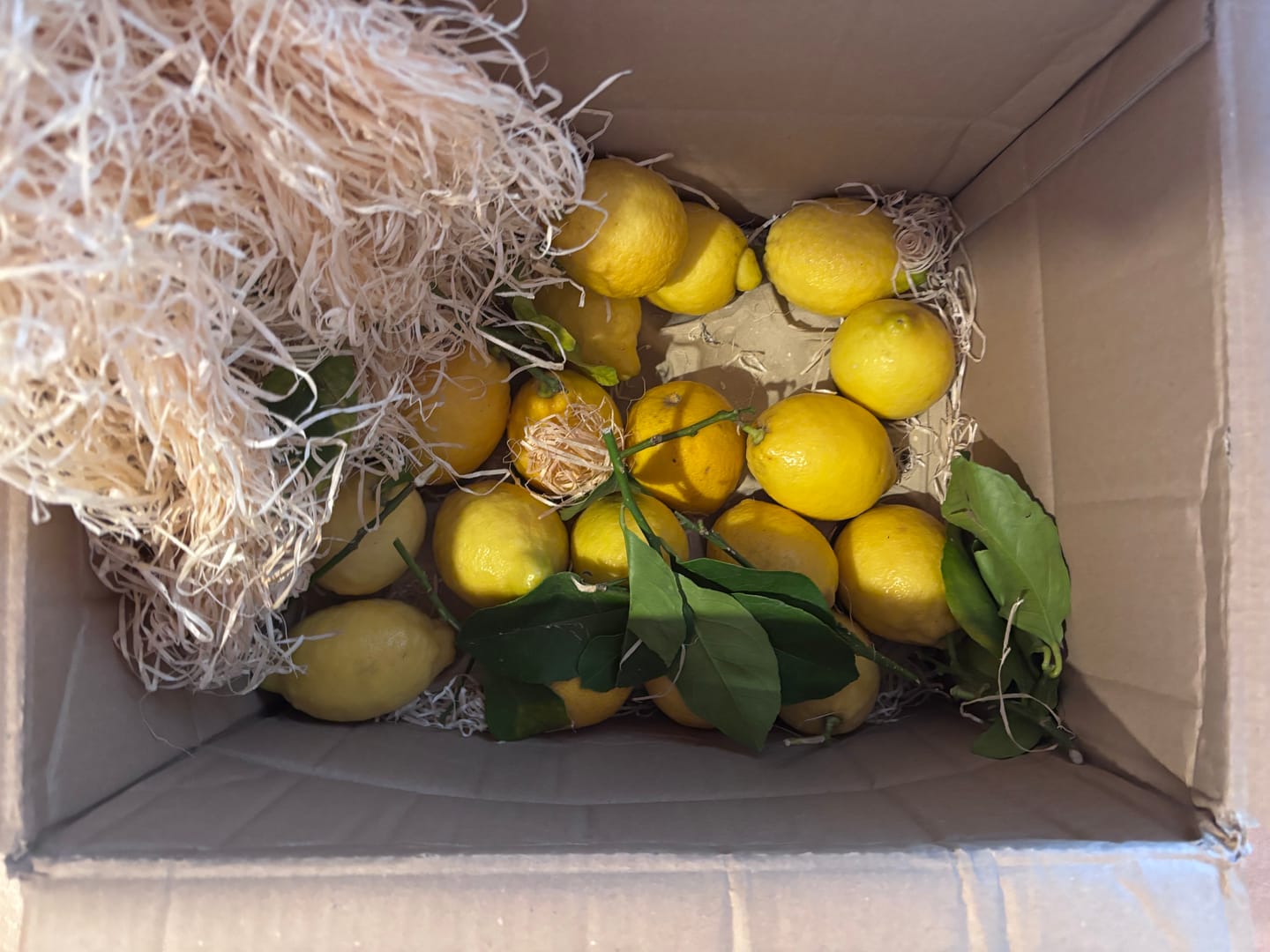 Customer photo review of Zitronen Bio Familie Bilardi Kalabrien 4kg Box Sparpreis %