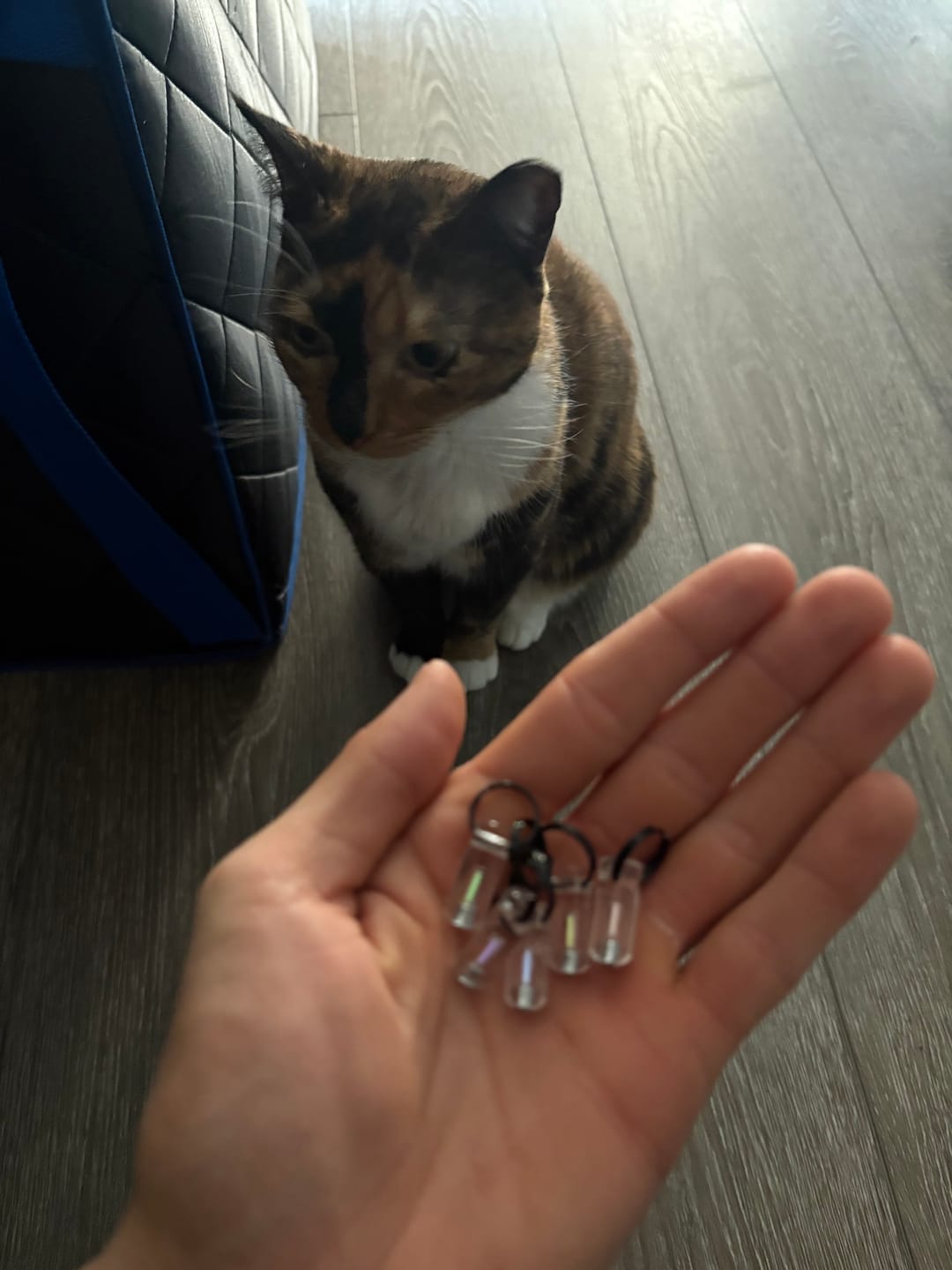 Customer photo review of The Spark