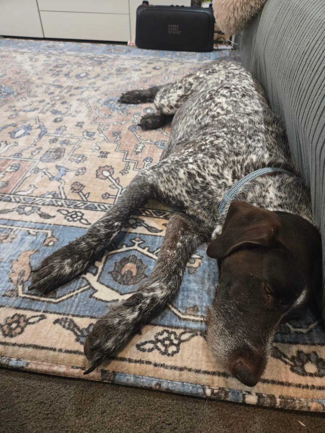 Customer photo review of Deluxe Shaggy Relax Mat - 35mm Memory Foam