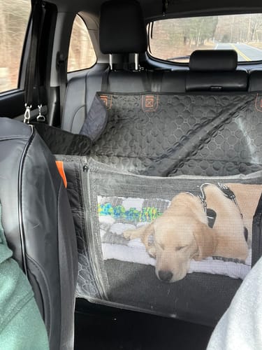 Customer photo review of RuffRover 2.0™ - Hard Bottom Dog Car Seat Protector + (FREE Dog Bed)