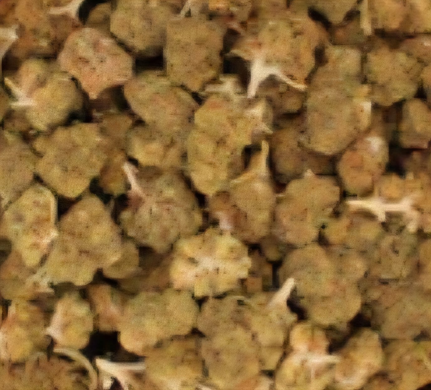 Customer photo review of Wedding Crasher THCA Flower LB