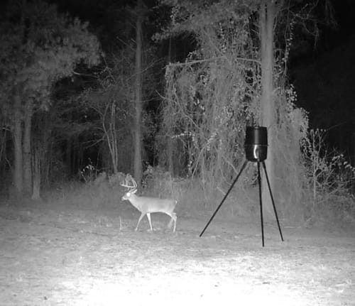 Customer photo review of Mast Magnet - Deer Attractant