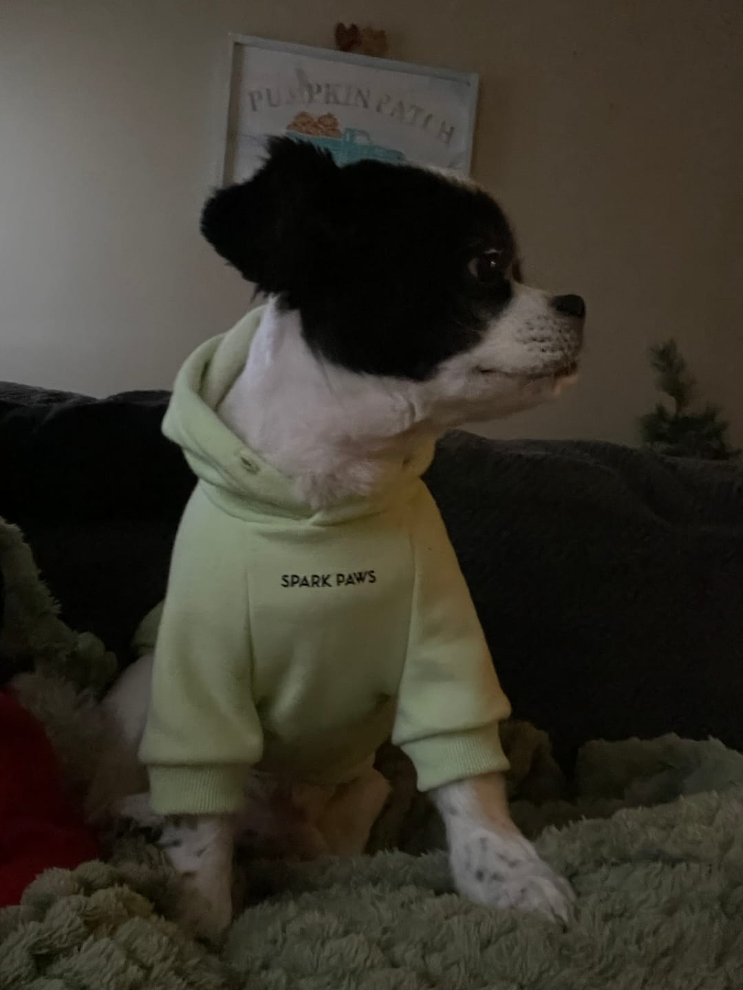 Customer photo review of Color Block Human Hoodies
