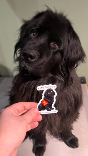 Customer photo review of Vinyl Stickers