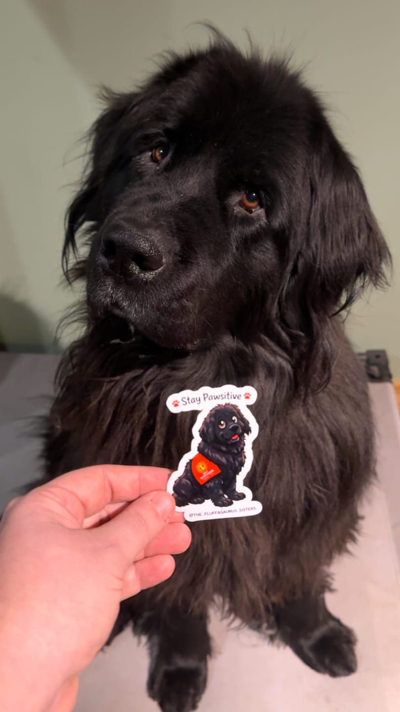 Customer photo review of Vinyl Stickers