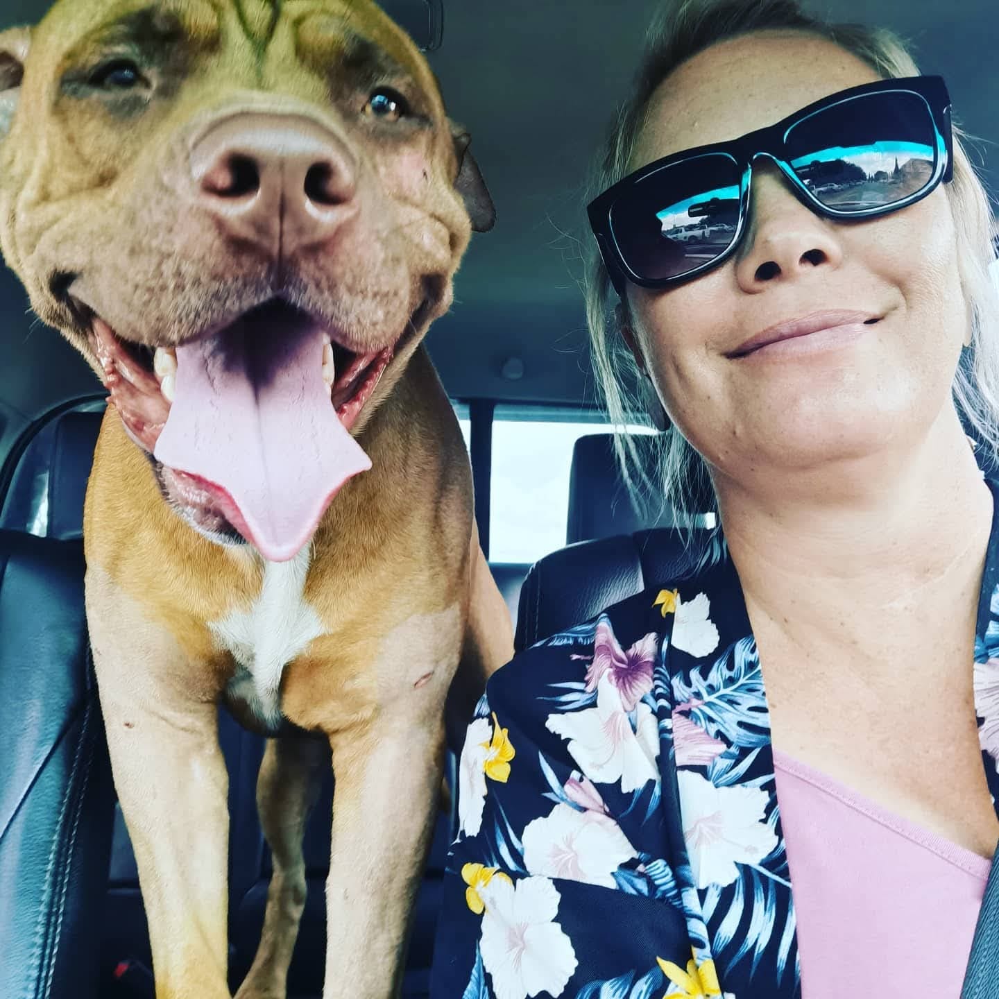 Customer photo review of Doggymin (Skin & Immunity Support For Dogs)