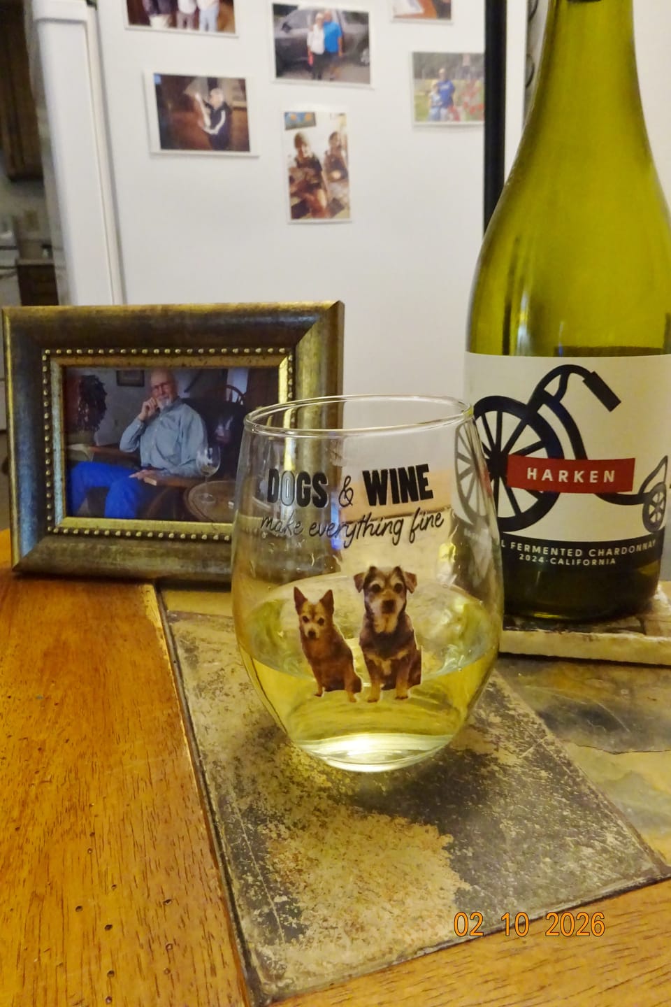 Customer photo review of Pets & wine make me fine -  Personalized Wine Glass
