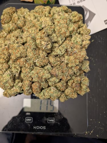 Customer photo review of Cherry Pie - Bulk - Hybrid