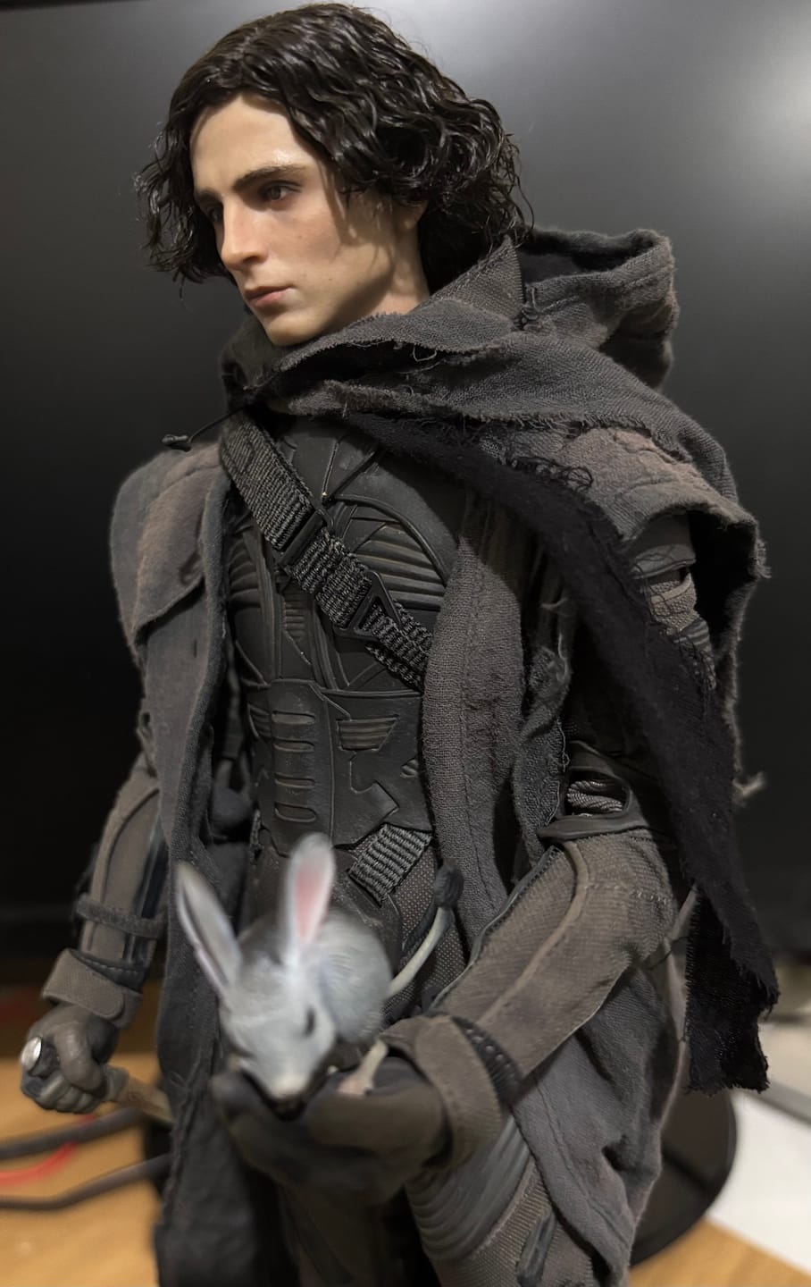 Customer photo review of Paul Atreides 1/6 Collectible Figure  - Standard & Deluxe Version