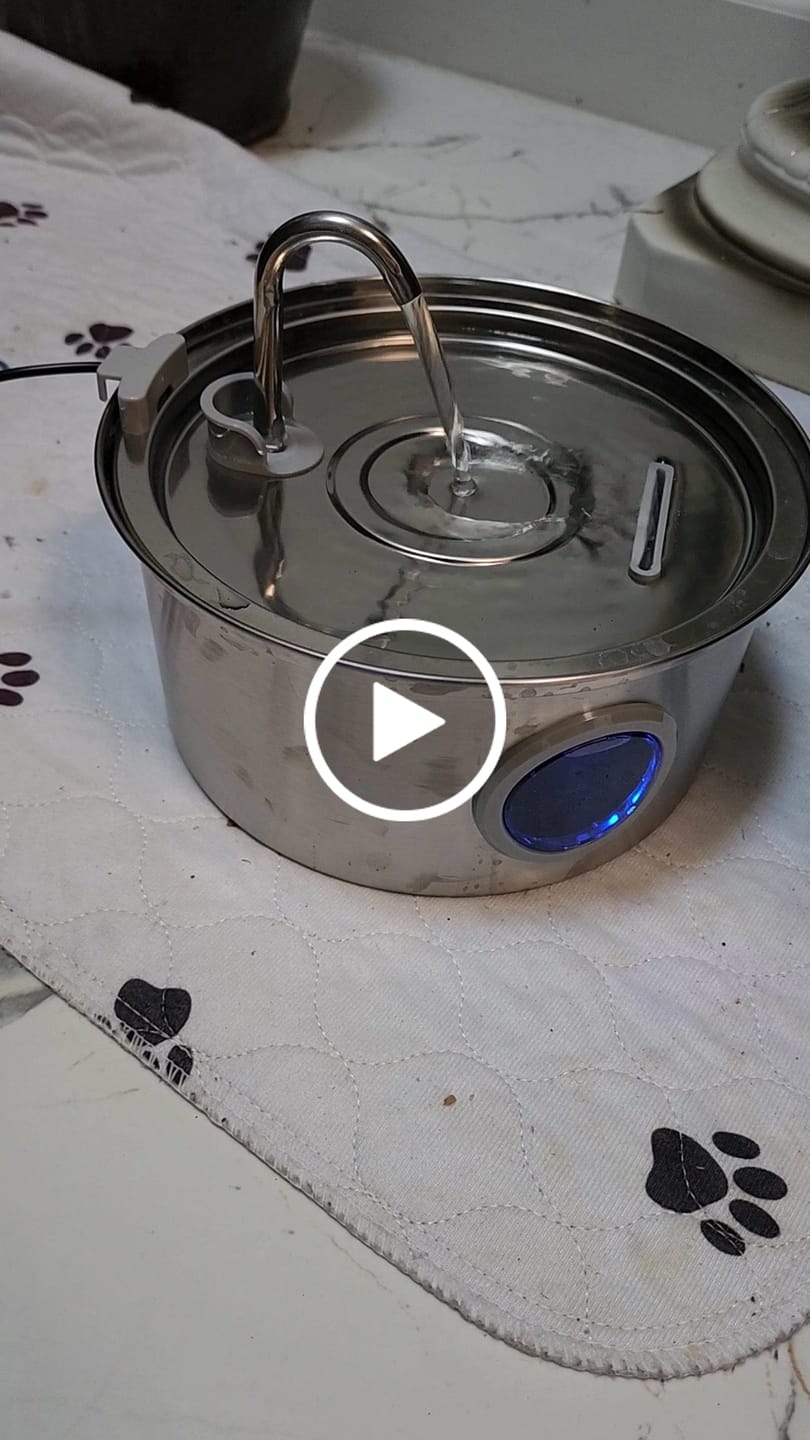 Customer video review of Pawdrate™ Filtered Water Fountain