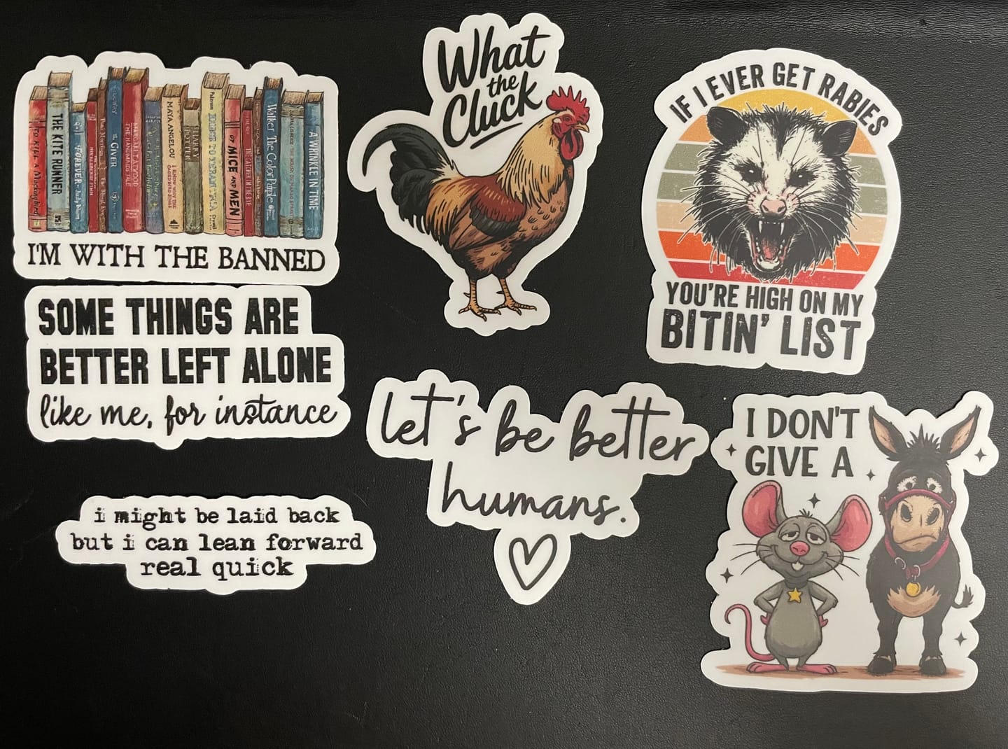 Customer photo review of STICKER CLUB | Monthly Sticker Subscription
