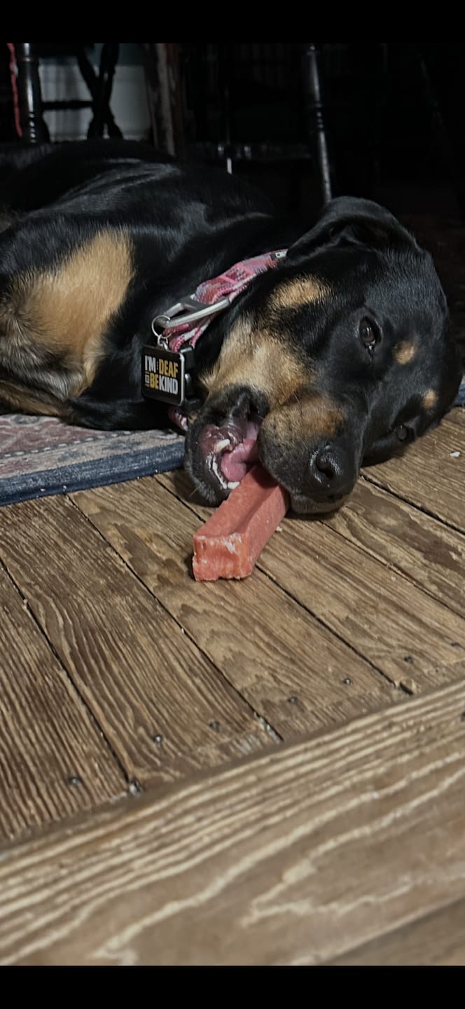 Customer photo review of Regular/Unflavored Himalayan Yak Chews | 6-Sizes (for Small to Big Dogs)