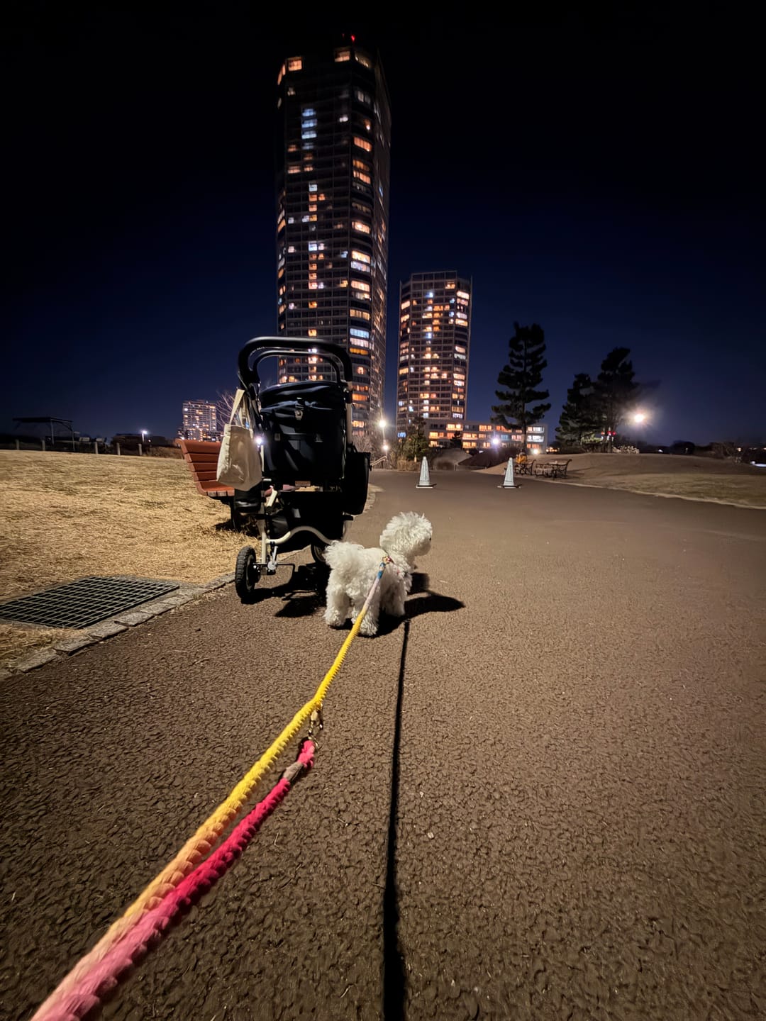 Customer photo review of Light Prismatic Cotton Rope Dog Leash by Found My Animal | Adjustable & Handcrafted