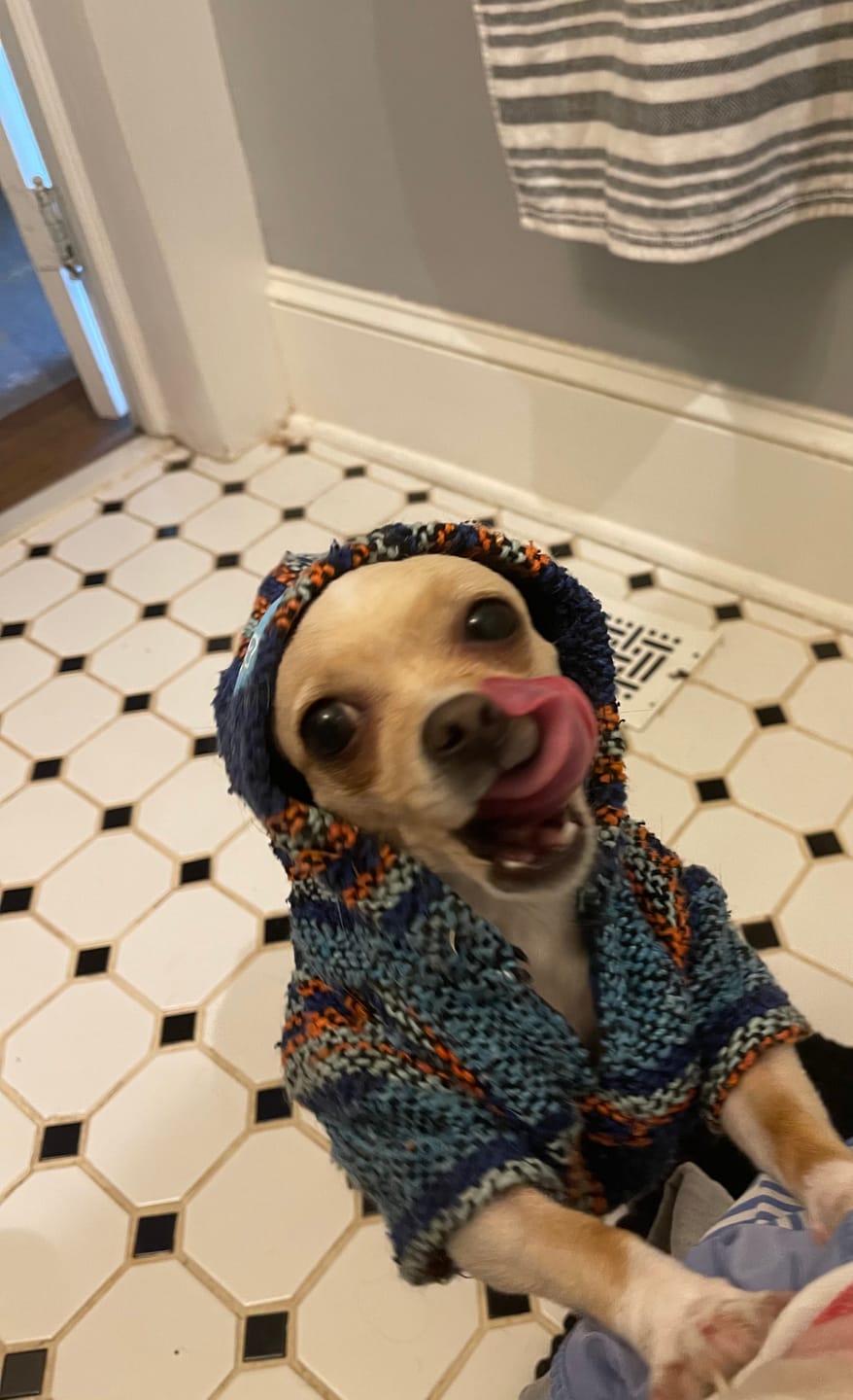 Customer photo review of Playa Poncho – Mystery Color (Bella, Charlie, or Fun Edition)