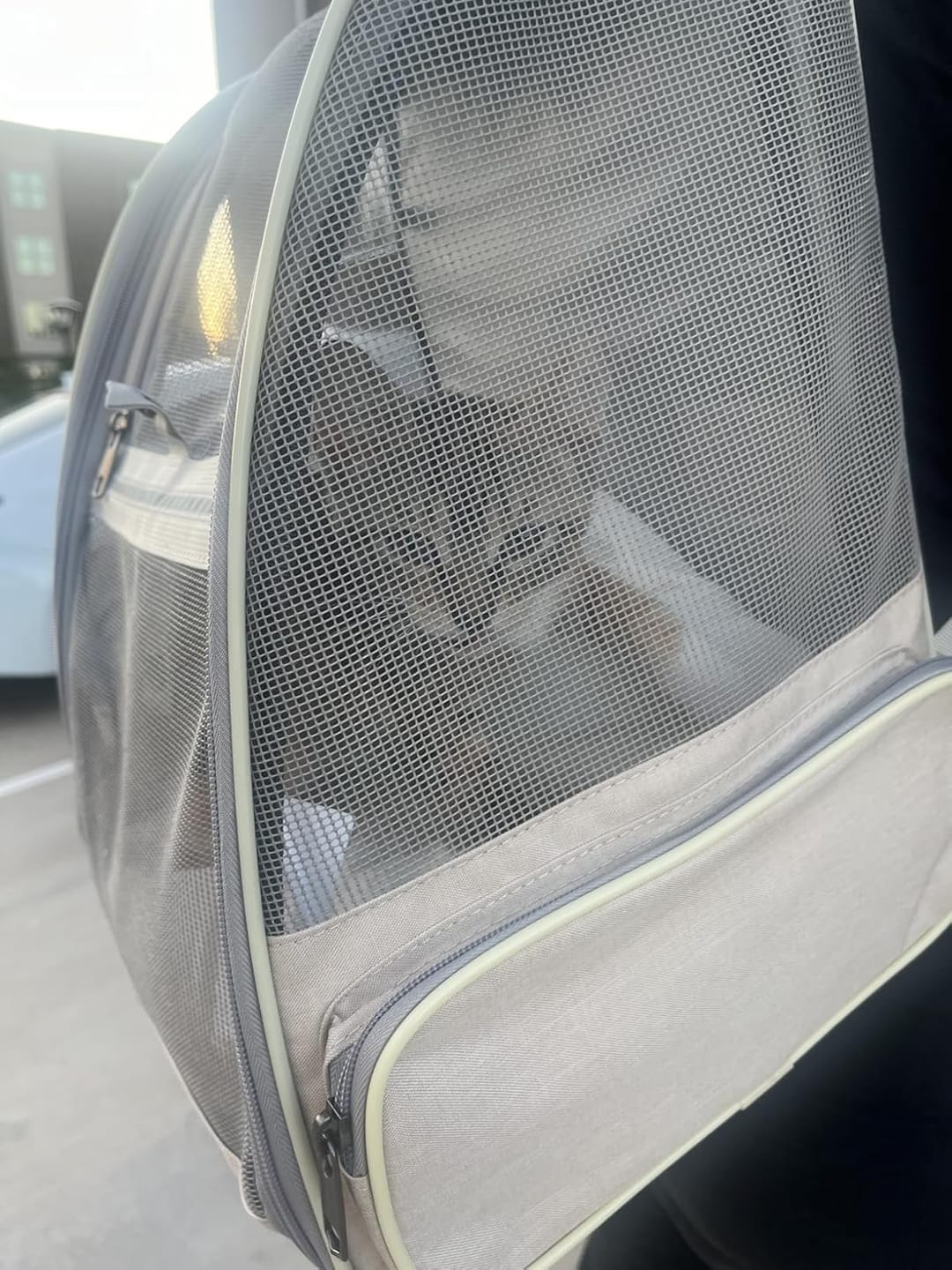 Customer photo review of PurryGO - Triple Airflow Backpack Carrier For Small Pets