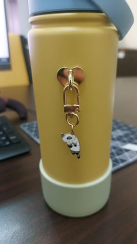 Customer photo review of Keychain