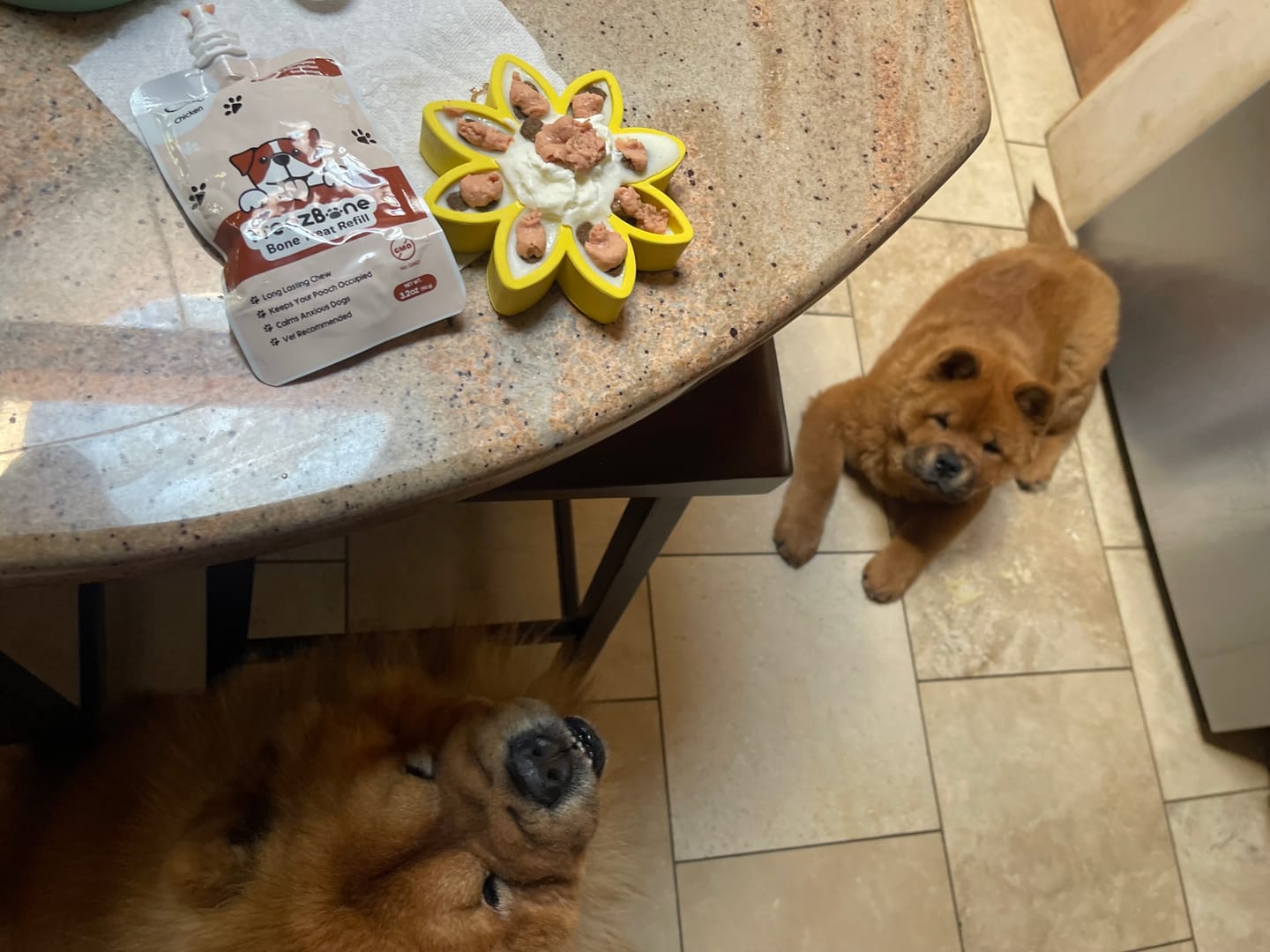 Customer photo review of Bone Refills Dog Meat 90 Grams (4 Pack)®