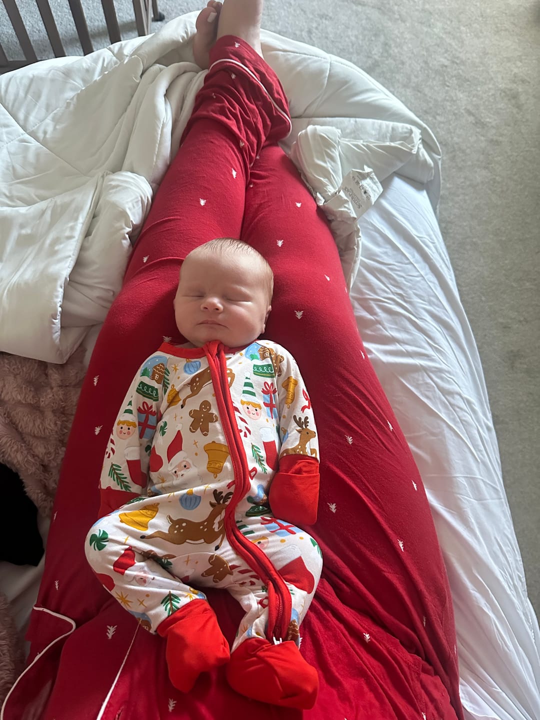 Customer photo review of Christmas Classic Zippy