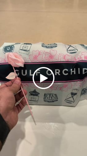 Customer video review of WADI