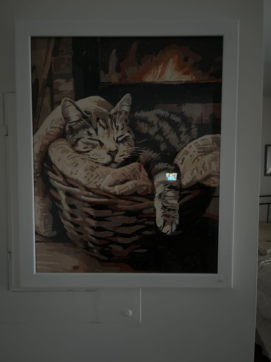 Customer photo review of Bascat