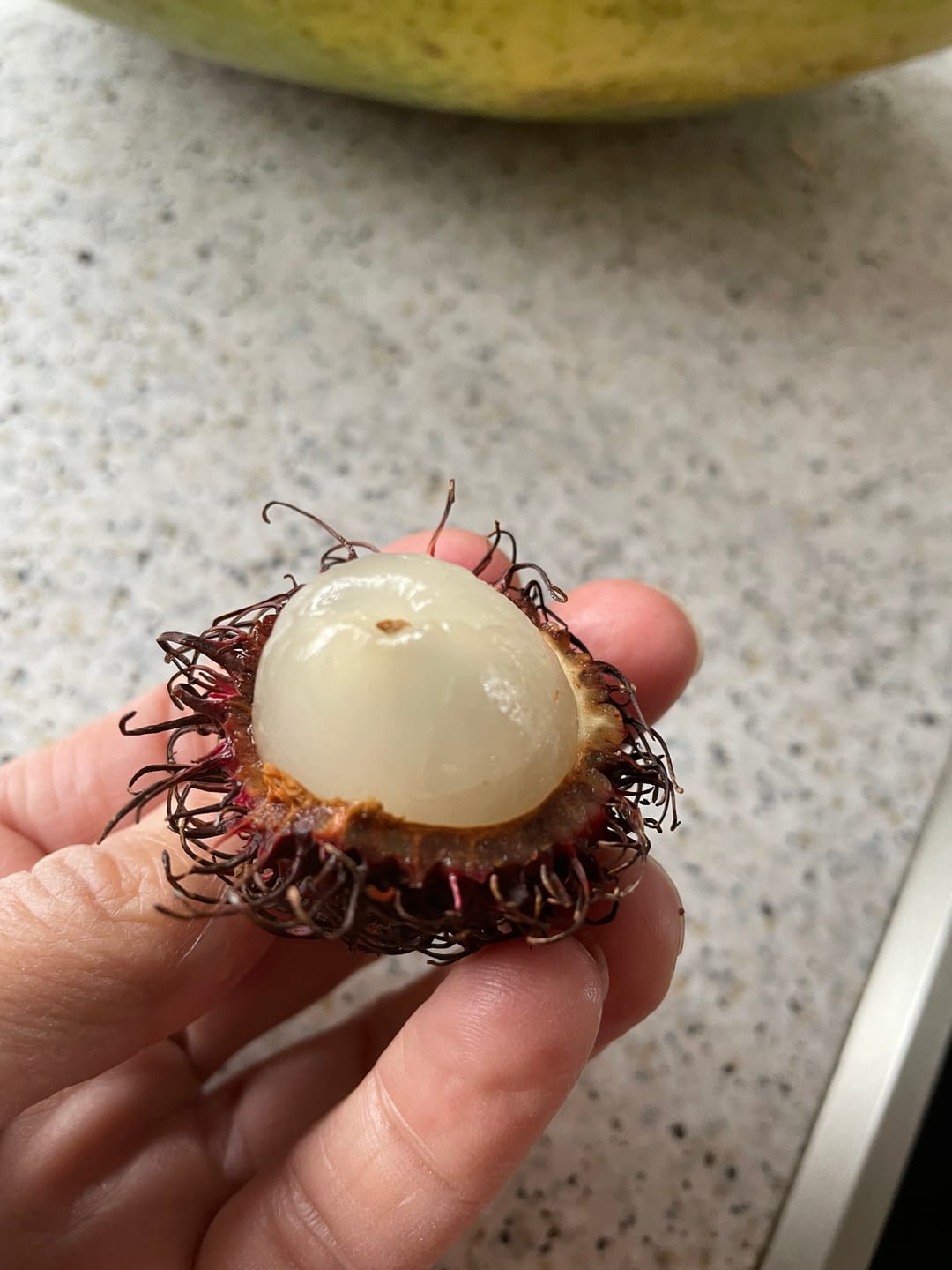 Customer photo review of Rambutan naturbelassen