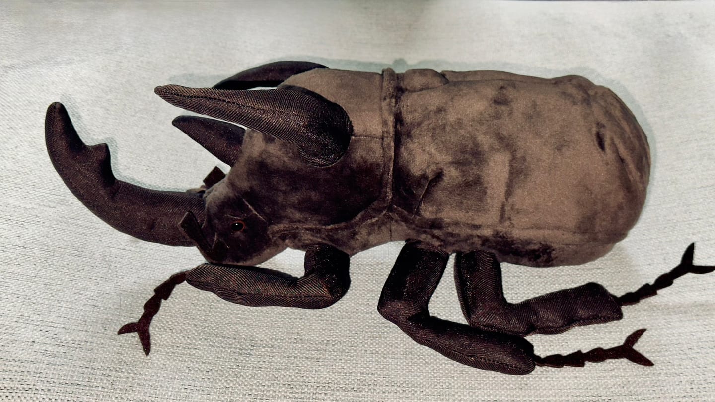 Customer photo review of Atlas Beetle Soft Stuffed Plush Toy