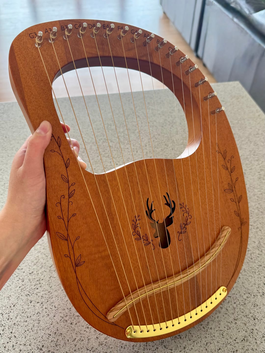 Customer photo review of NARA LYRE 16 String Mahogany w/Bag