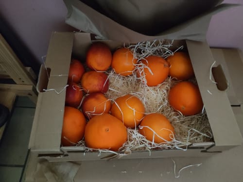 Kunde zeigt die geöffnete Bio Orangen-Mixbox mit verschiedenen bunten Orangensorten.