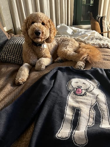 Customer photo review of Plain Dog - Custom Knitted Sweater