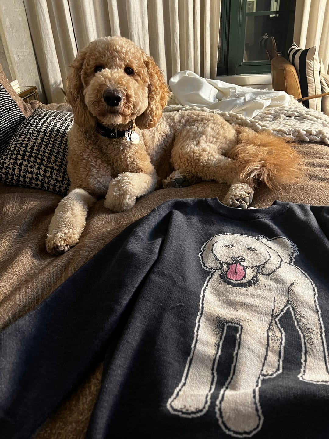 Customer photo review of Plain Dog - Custom Knitted Sweater