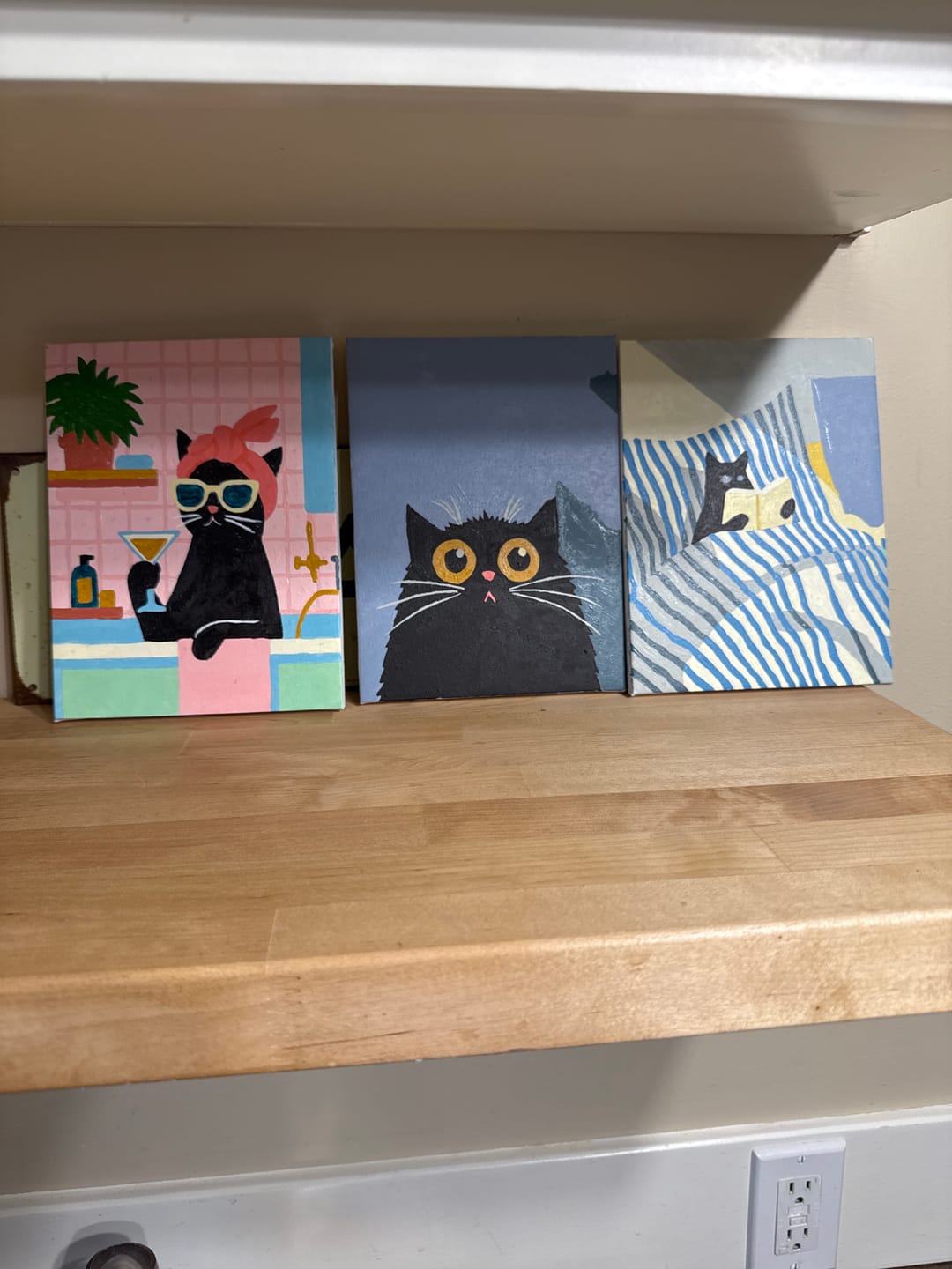 Customer photo review of 6 Mini Paintings - Crazy Cat Set