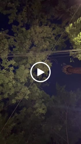 Customer video review of Training Sport Tee - Navy Blue