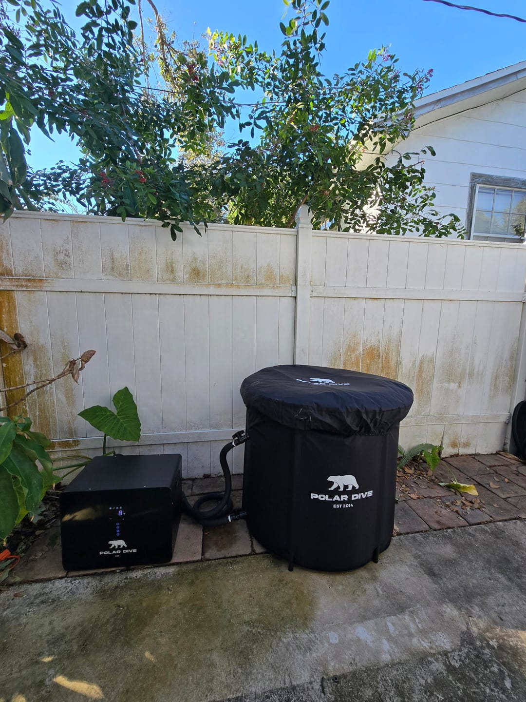 Customer photo review of The Polar Dive