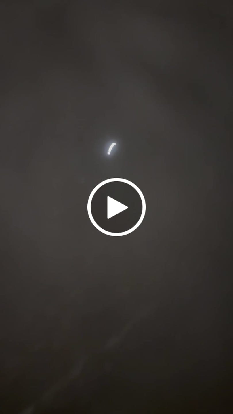 Customer video review of 5cm Light Up LED Combat® Collar | Handle - Black