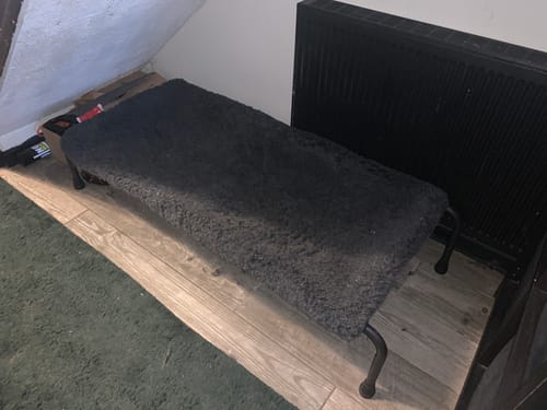 Customer photo review of HiK9 Bed with Fawn Mesh Cover