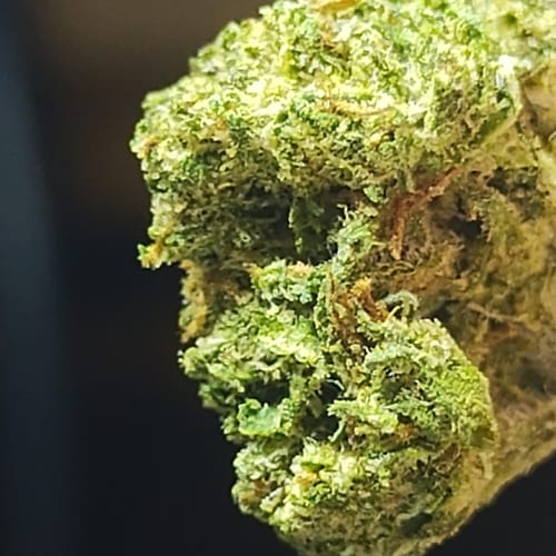 Customer photo review of Gumbo Littles - Bulk Littles - Hybrid