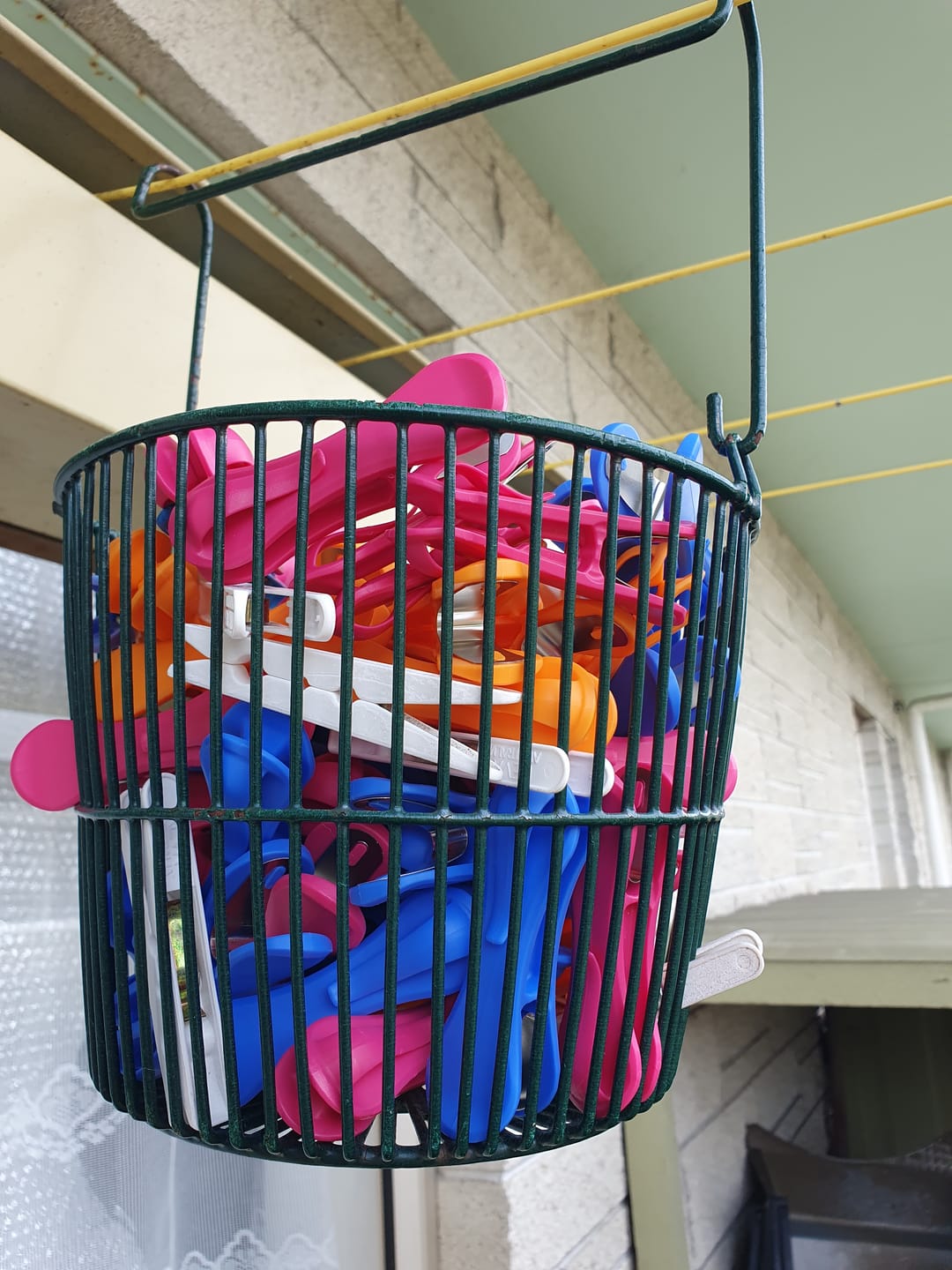 Customer photo review of Hegs Pegs 18pk