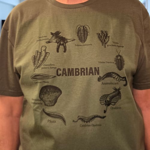 Reviewer wearing the green Animals of Cambrian T-Shirt, showing the detailed black scientific illustrations.
