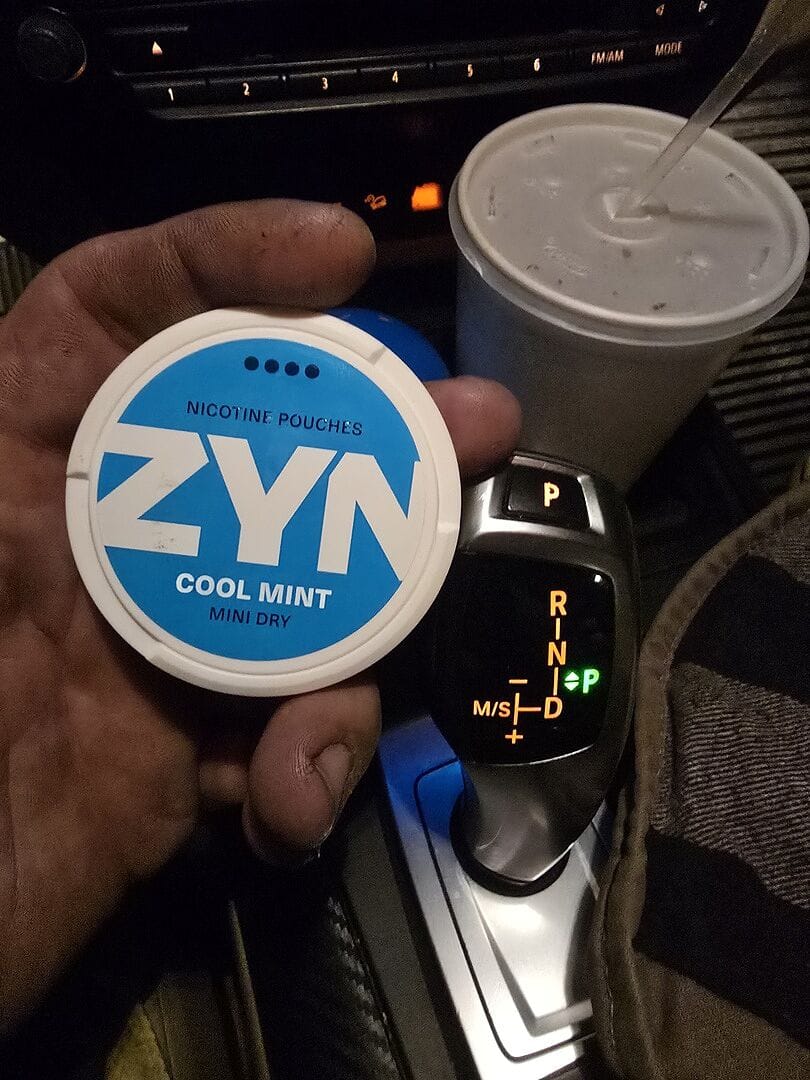 Customer photo review of ZYN Cool Watermelon
